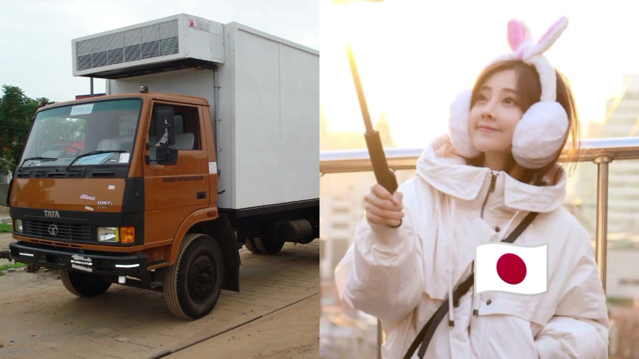 DJ Pergi Pagi Pulang Malam Dedhy Feng Timo Japanese Plus Refrigerated Truck 油素手別府