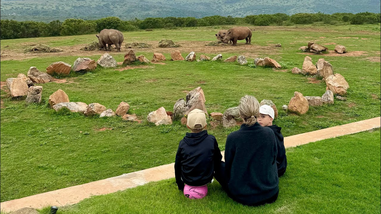 First Safari Experience @ Mantis Founders Lodge