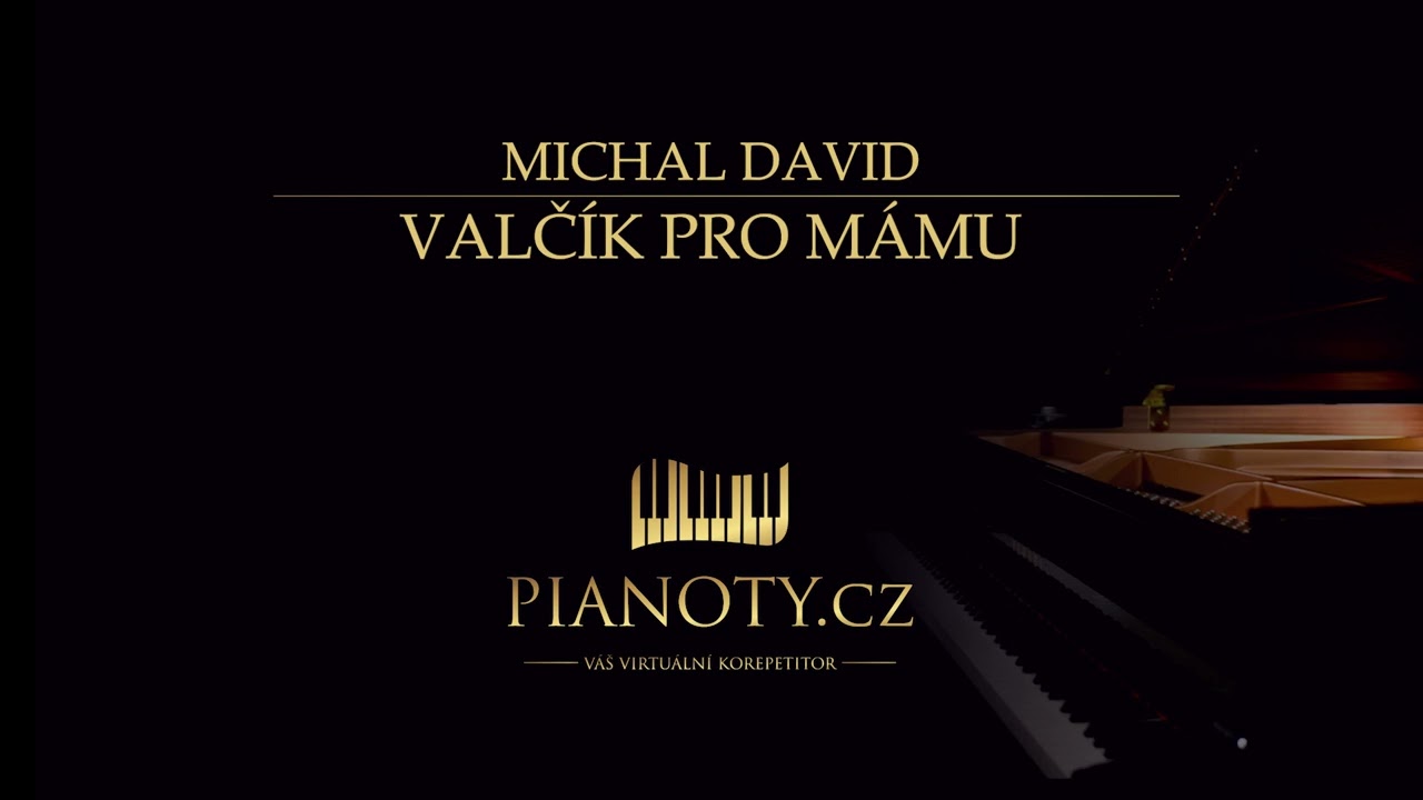 Michal David - Valč&iacute;k pro m&aacute;mu (klav&iacute;rn&iacute; doprovod / karaoke)
