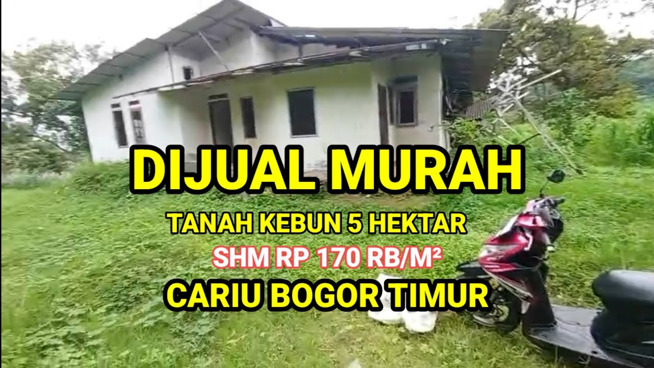 DIJUAL MURAH‼️TANAH KEBUN 5 HEKTAR SHM RP 170 RB/M² CARIU BOGOR TIMUR