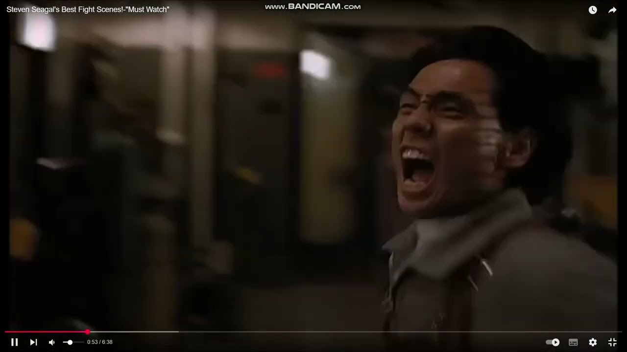 delelictstory observe sensei seagal