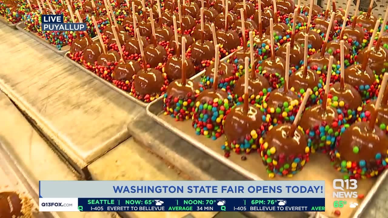 Food at the Washington State Fair