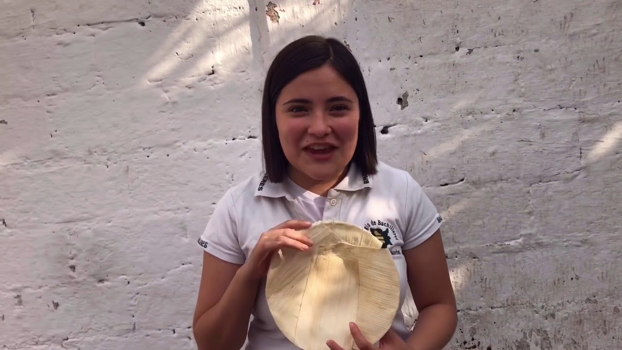 Proyecto sustentable equipo 5 : platos biodegradables de hoja de maíz.