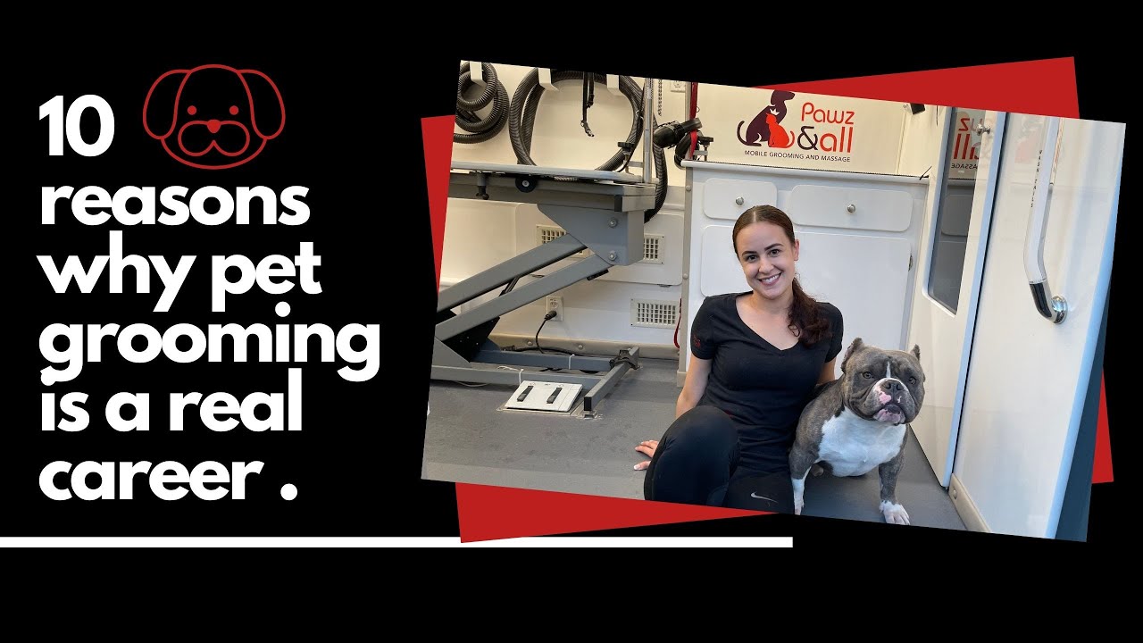 10 REASONS WHY PET GROOMING IS A REAL & LEGIT CAREER
