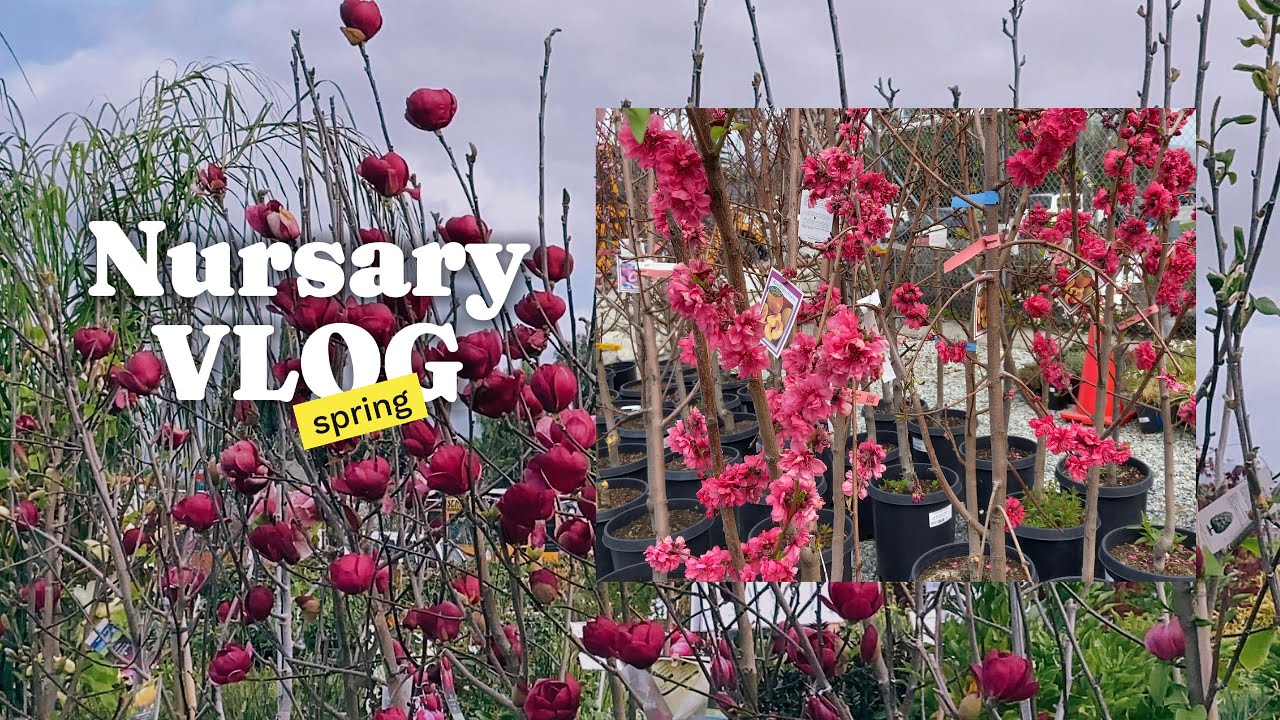 🌸 Springtime Adventure! | Nursery Travel Vlog
