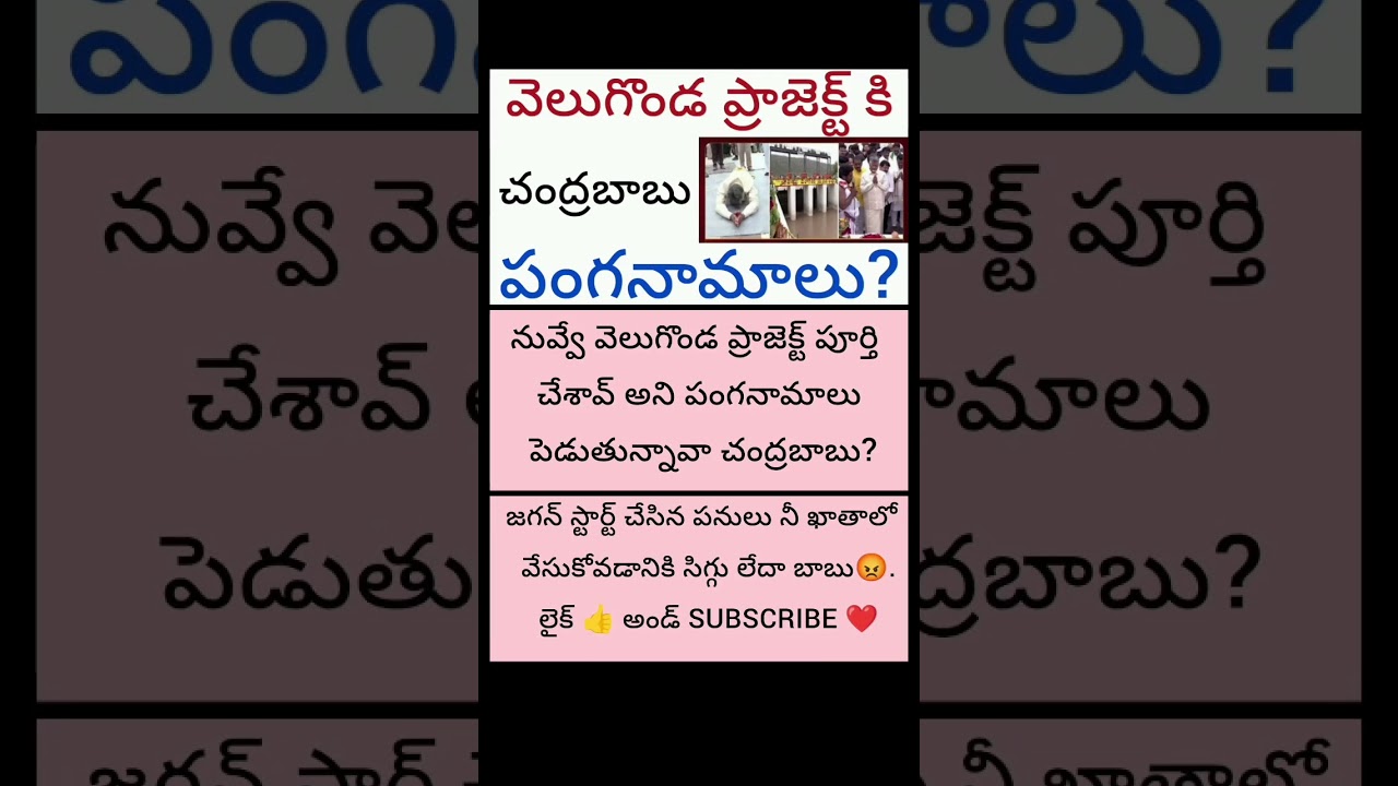 #Ysjagan #chandrababunaidu #ycpparty