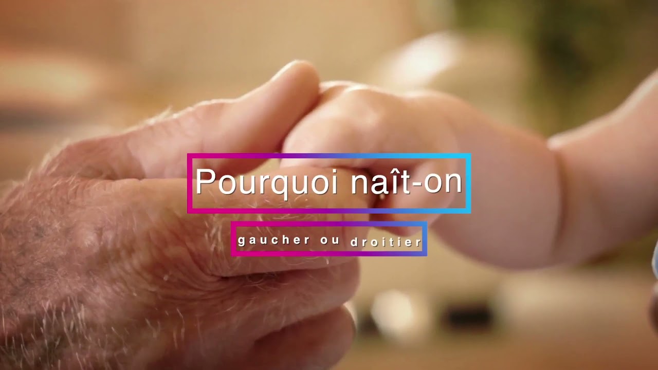 Pourquoi Na&icirc;t-on droitier ou gaucher