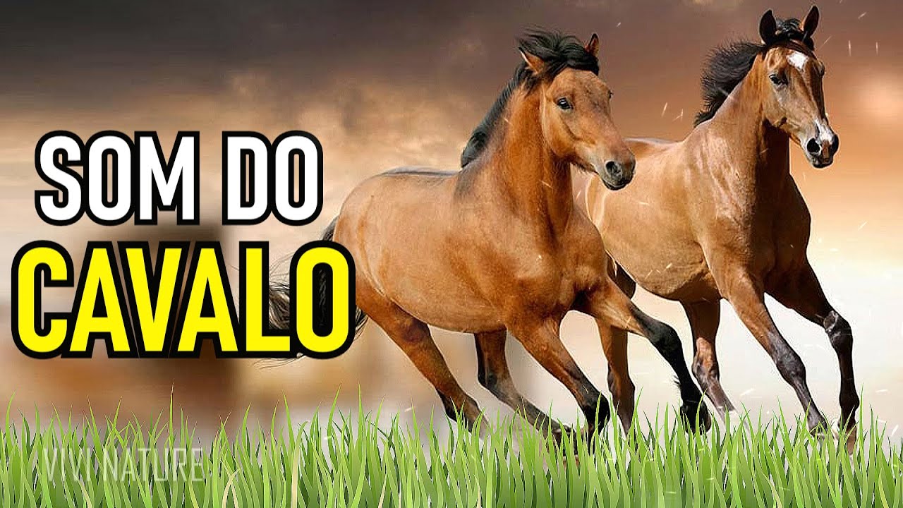 O SOM DO CAVALO RELINCHANDO