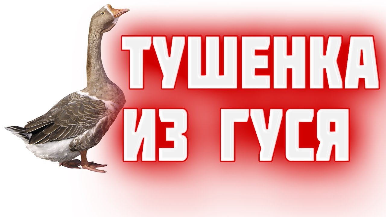 Гусиная тушенка   Вкусная домашняя тушенка из гуся в автоклаве  гусь в автоклаве. разделка гуся