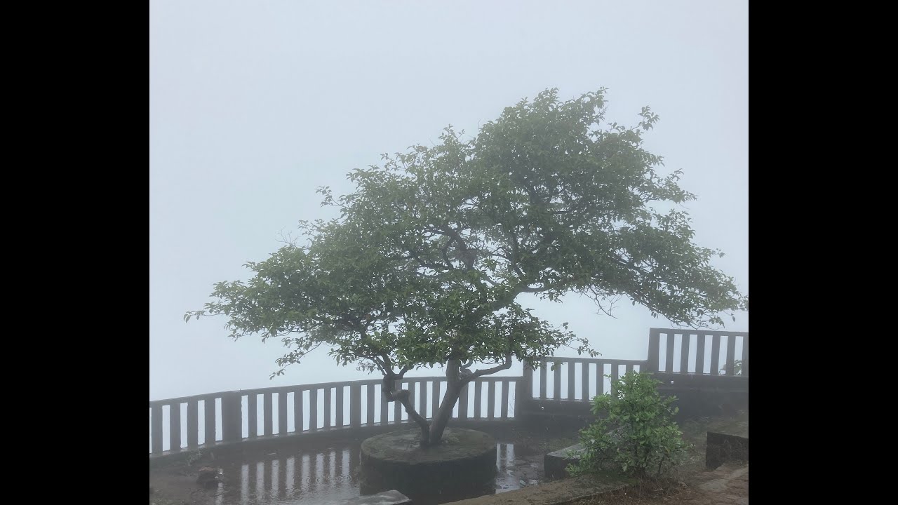 Sawantwadi to Amboli Ghat Part 2. Places to visit in Amboli. Tata Tiago
