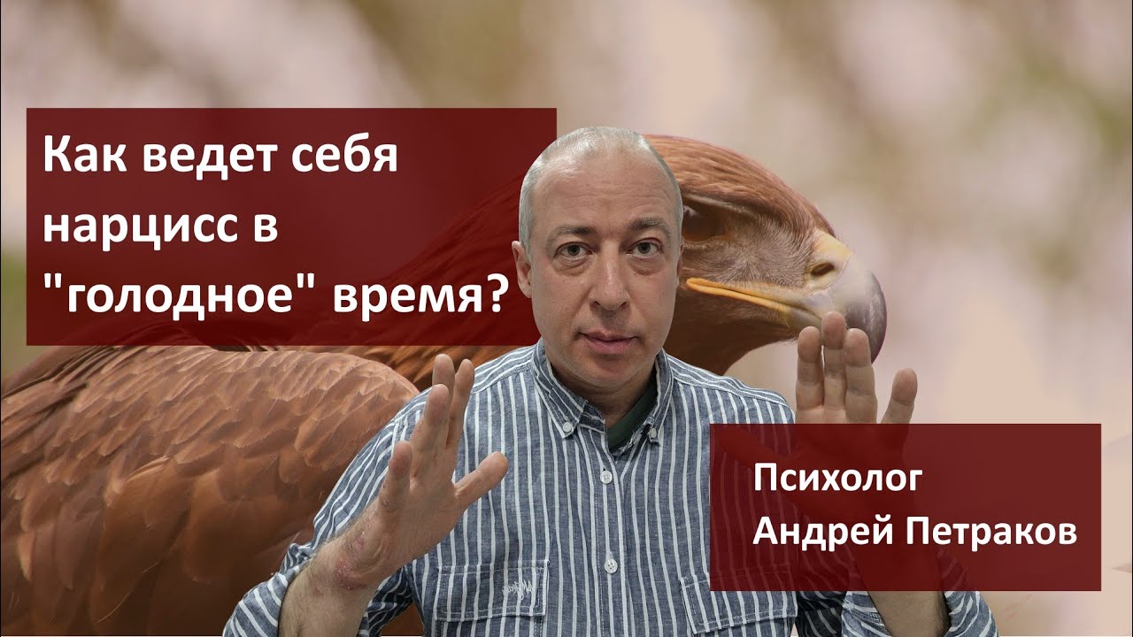 Как ведет себя нарцисс в 