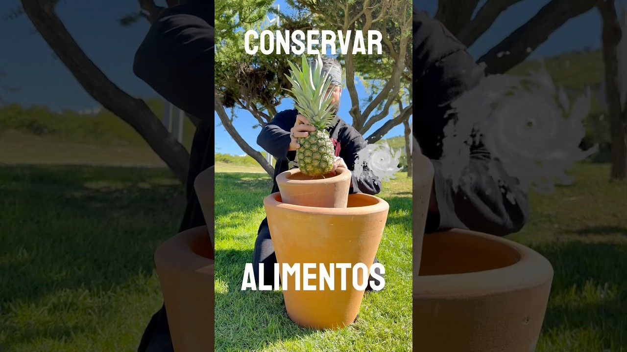 Conserva alimentos 💡 Sin electricidad Pt.4