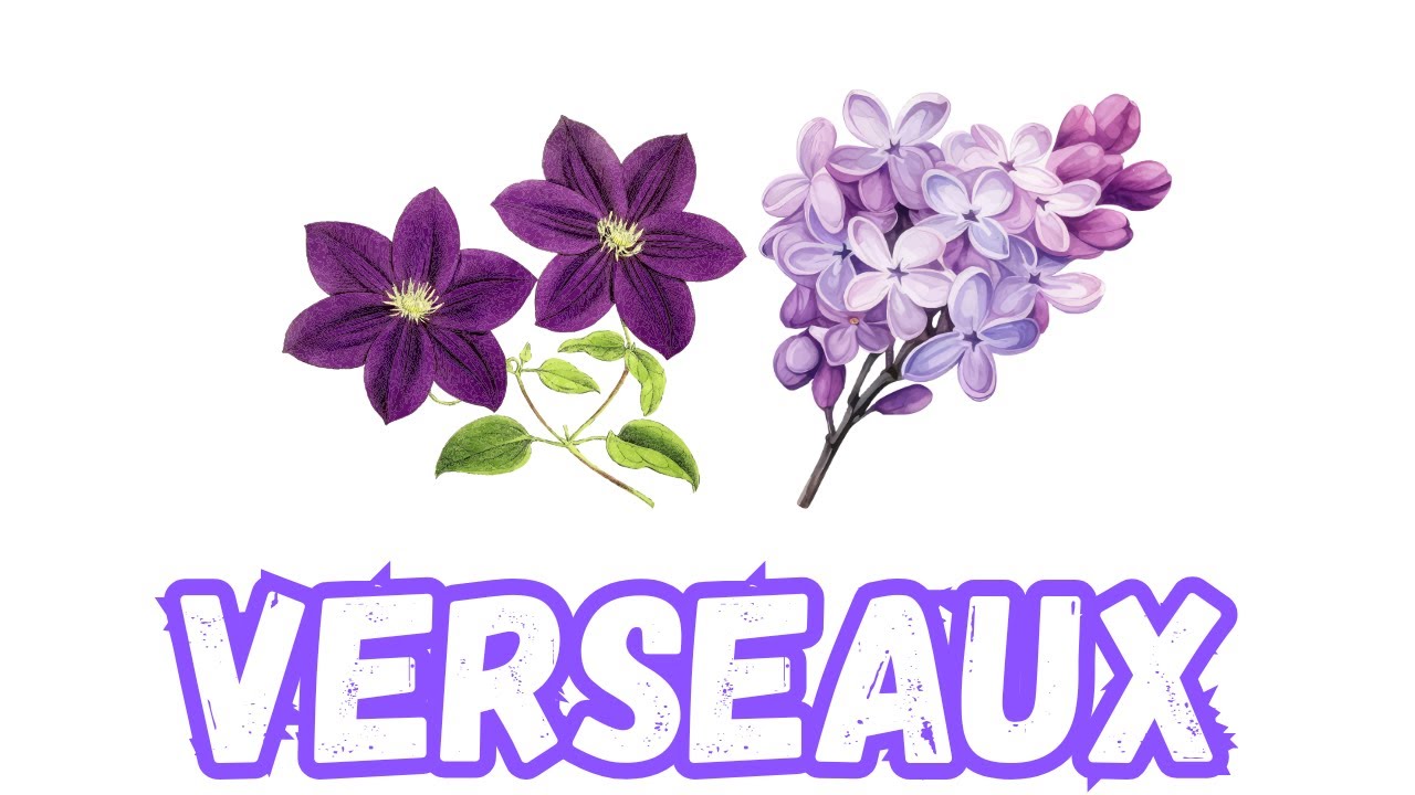 VERSEAU 🚨✨ CES CARTES RÉVÈLENT CE QUE VOUS REFUSEZ DE VOIR AUJOURD’HUI 🔮‼️