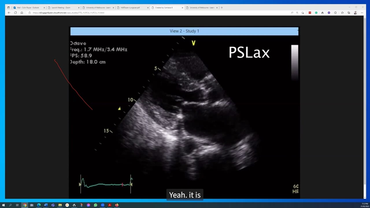 Clinical Ultrasound in Your Practice