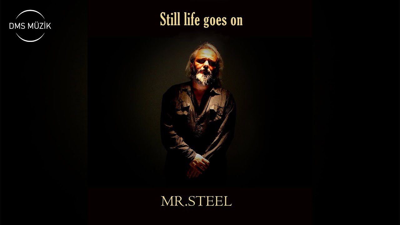 Still life goes on - Mr. Steel [DMS MÜZİK]