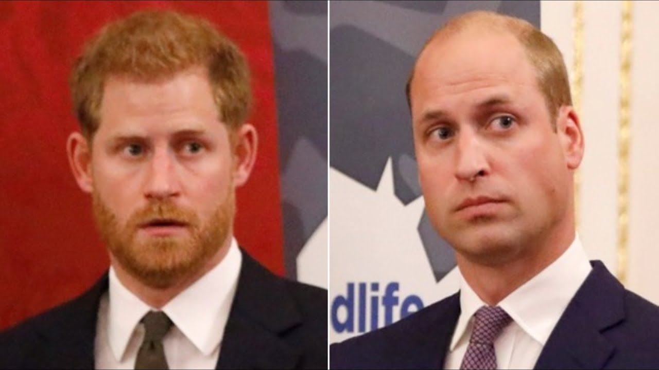 William And Harry Were Never The Same After Diana Died