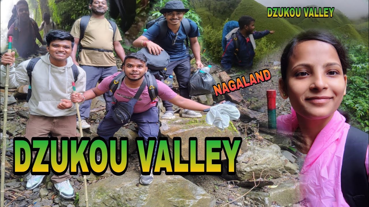 DZUKOU VALLEY, NAGALAND,North East India l @TemjenImnaAlong2023 @souravjvlogs 