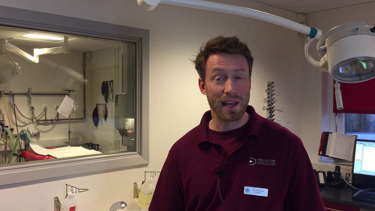 Det du skal vide om tiden før og efter bedøvelse og operation