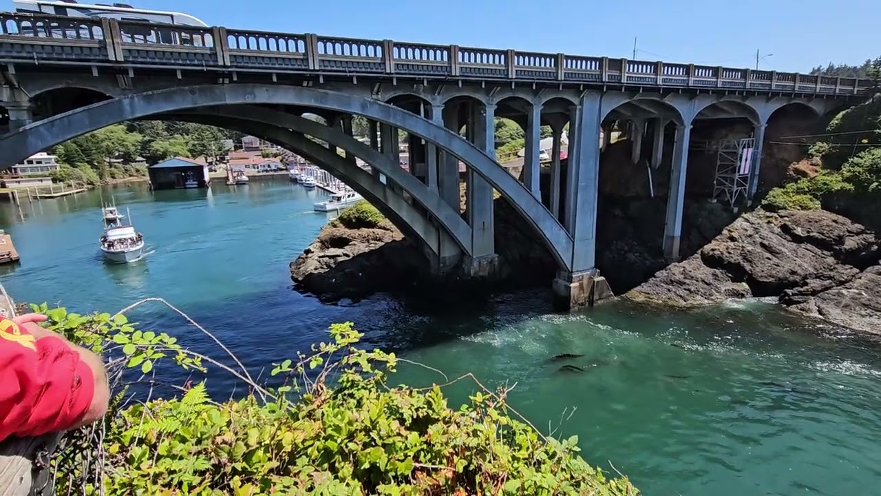 Action at Depoe Bay