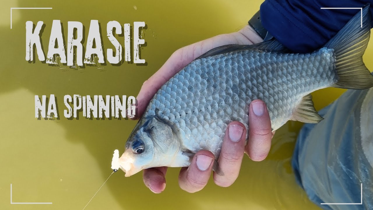 KARASIE na SPINNING! Crazy Fish NANO ZERO do 1,5g!