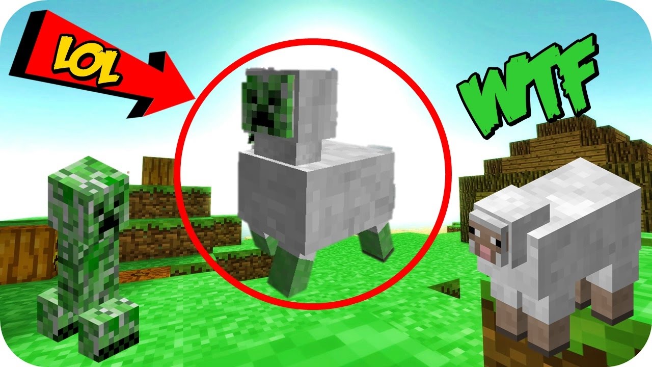 MIRA LO QUE PASA si juntas un CREEPER y una OVEJA en MINECRAFT !! - SIN MODS