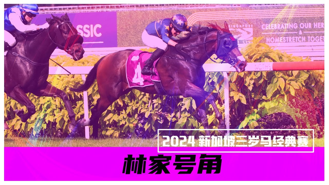 2024 新加坡三岁马经典赛 (林家号角)