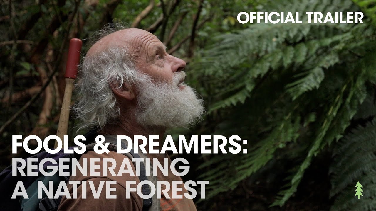 Official Trailer: Fools & Dreamers: Regenerating a Native Forest