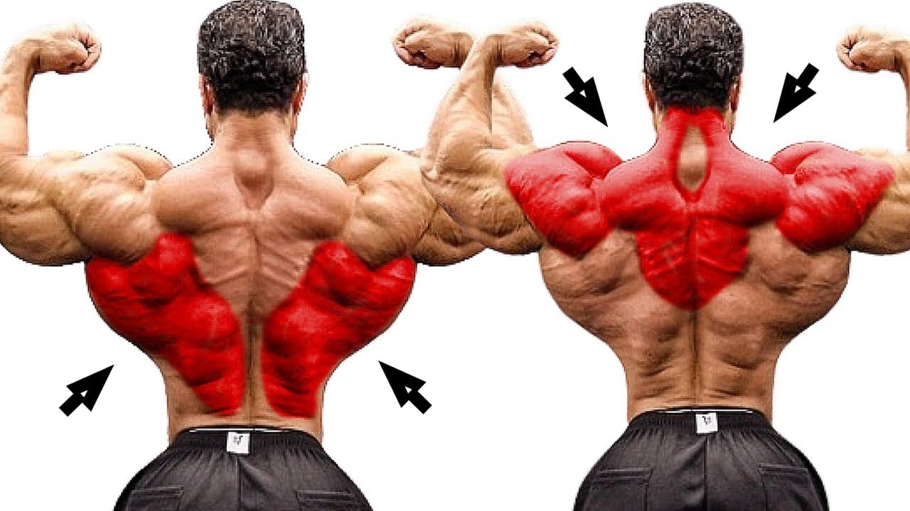 The Back Exercises You're Missing – Build Strong Lower, Middle & Upper Back