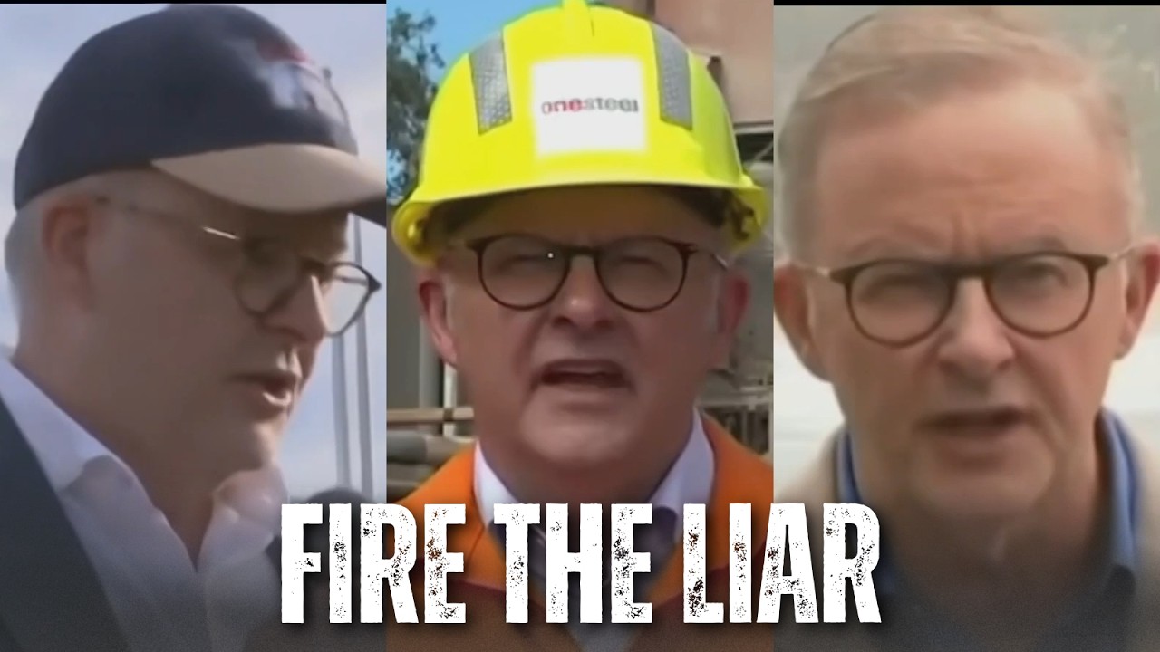 &lsquo;My word is my bond&rsquo;: One Nation&rsquo;s brutal ad lets Albanese do all the damage himself
