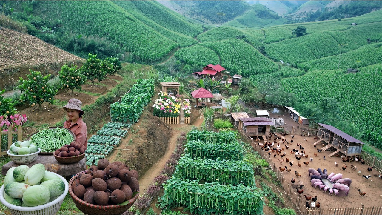 Huge Harvest Season on the Mountain Farm&hellip; Living Alone, Raising Chickens & Fish | Off Grid Life