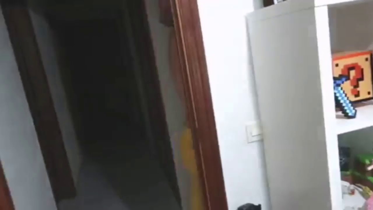 Broma del momo a Ela xd