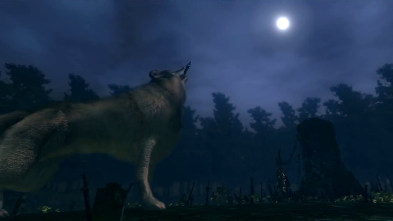 How To Find Sif The Great Grey Wolf Dark Souls 1 PTD