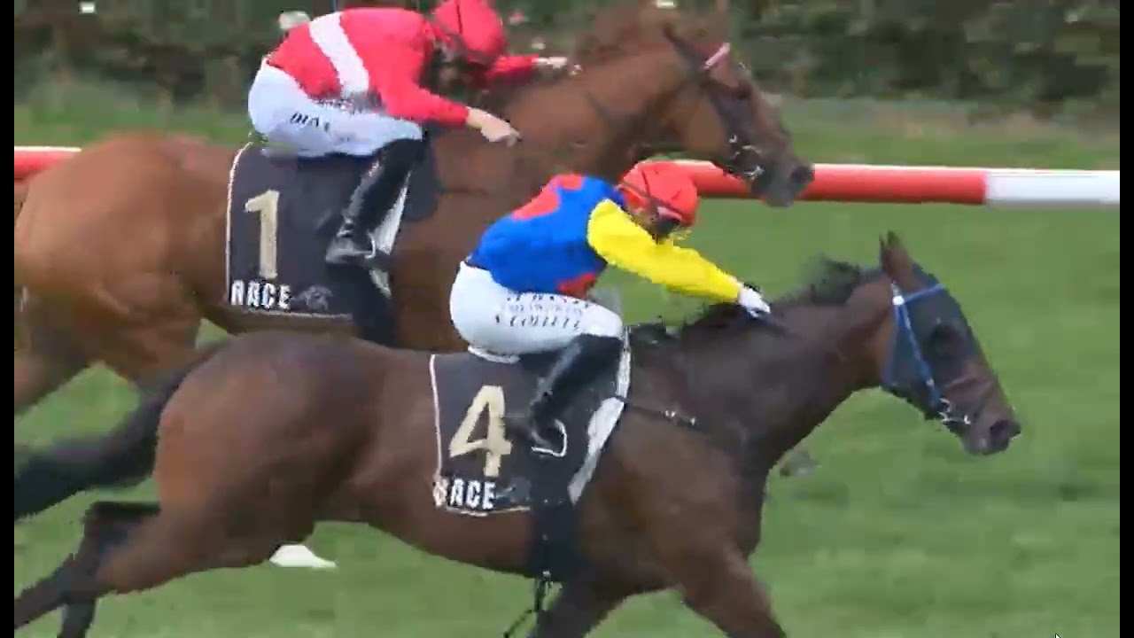 Trentham NEW ZEALAND RACE 1 -  (01 MARCH 2026)