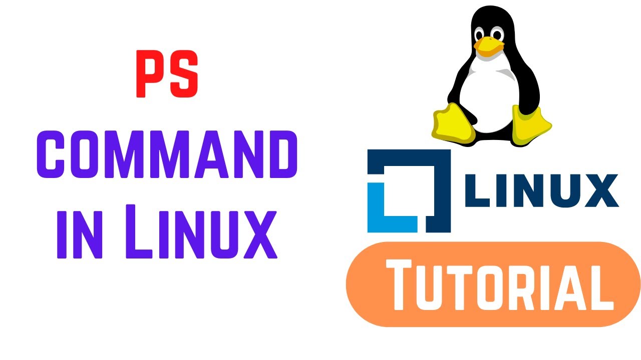 ps command in Linux with examples | How to Use Linux ps Command