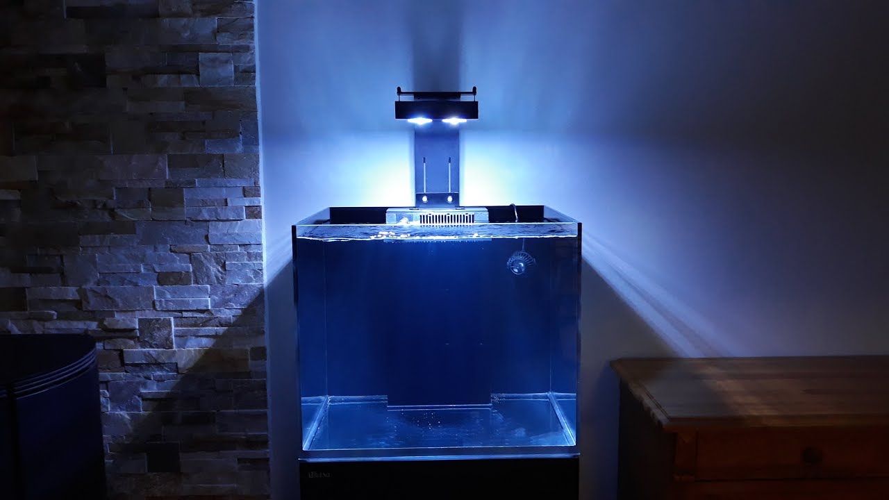reefer 170