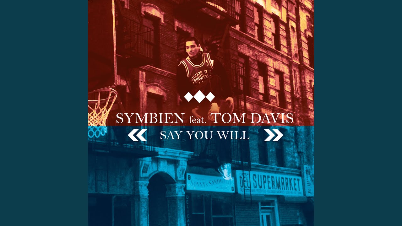 Say you will