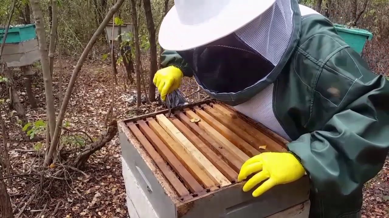 Minhas Primeiras Caixas de Cimento!! {APICULTURA ARARENDÁ }