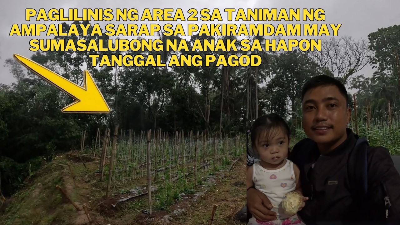 SARAP SA PAKIRAMDAM NA SUMASALUBONG ANAK KO SA PAG UWE KO GALING SA BUKID TANGGAL ANG PAGOD