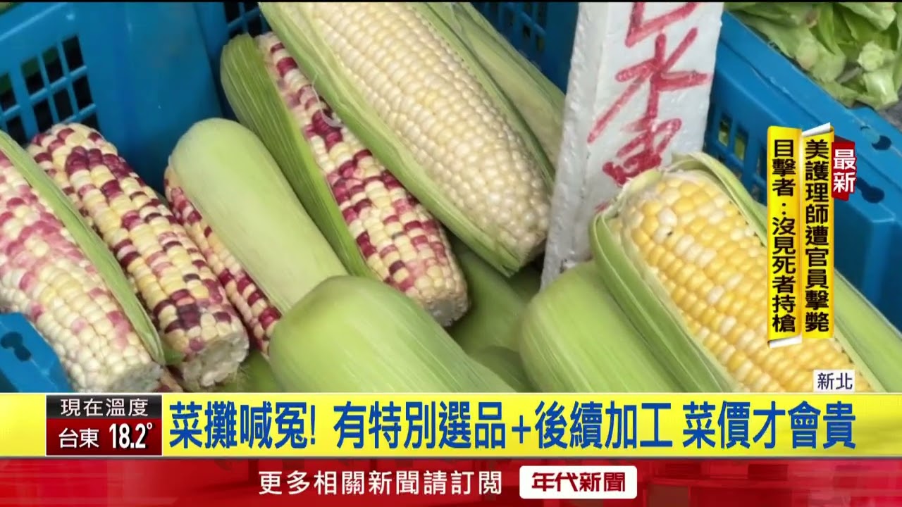 太貴惹議！白蘿蔔1根77元、4根茭白筍破百元