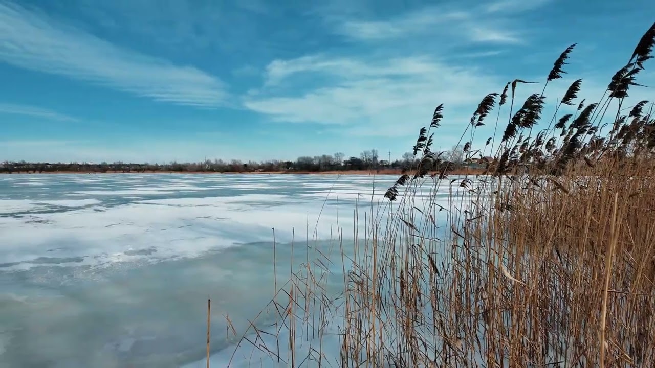 diary 04.02.2026 #top #nature #winter #relax #4k #3d #art  #walkthrough #weather #2026 #film  #dji