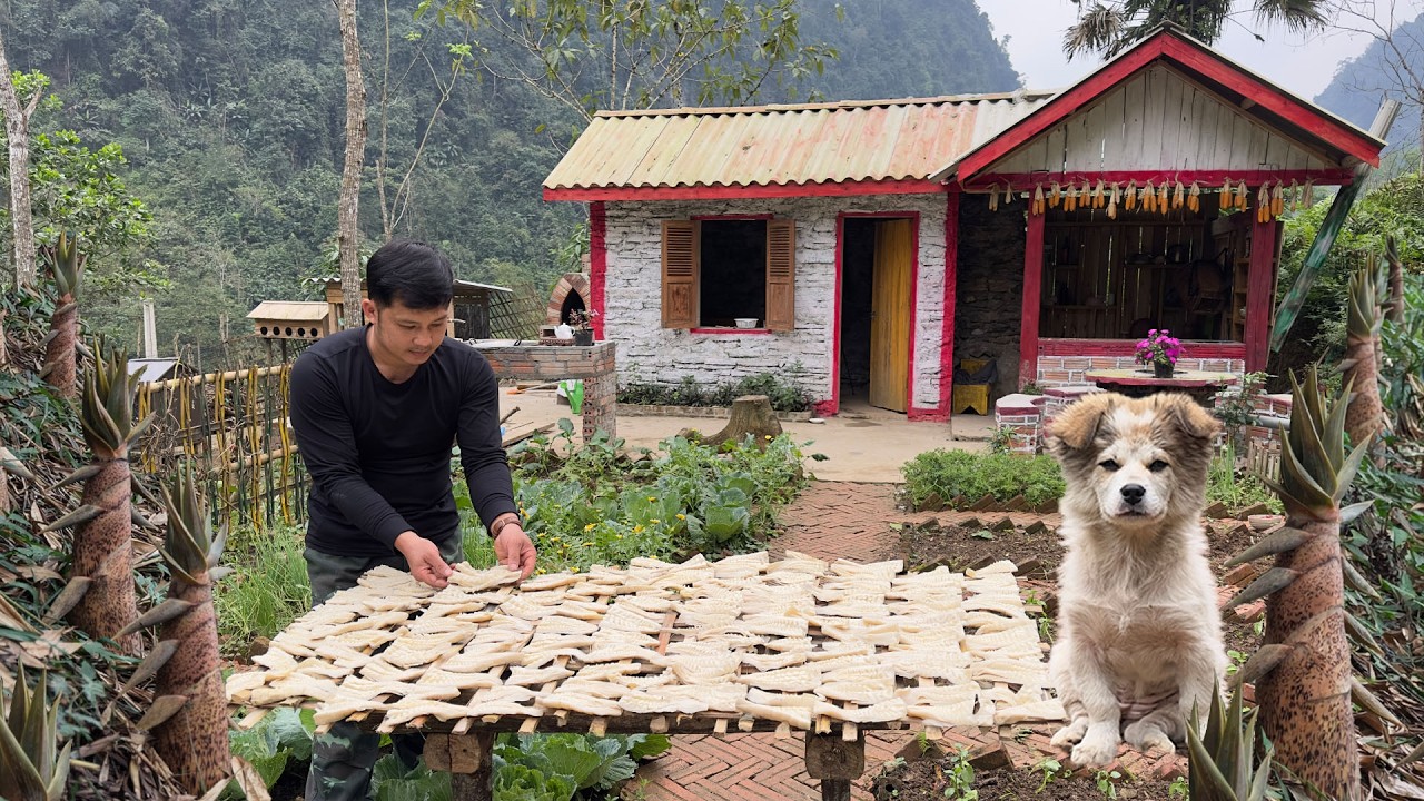 Simple Farm Life | Harvesting Bamboo Shoots, Drying Them and Cooking Delicious Food