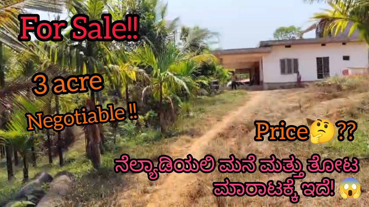 ಮನೆ ಮತ್ತು ತೋಟ ಮಾರಾಟಕ್ಕೆ ಇದೆ😯| Property for Sale🌴🤩 #youtube #viral #viralvideo #video #sale #property