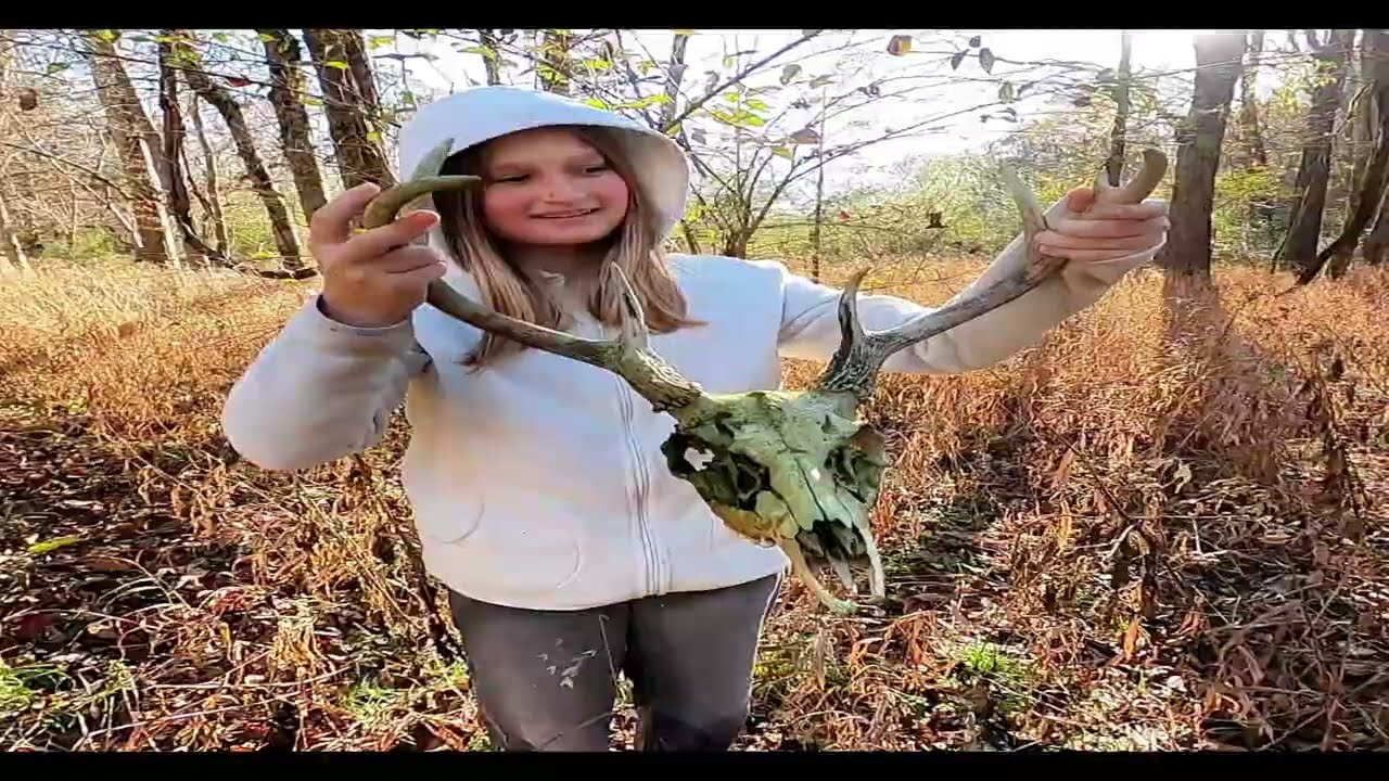 Creek Walk and Bamboo Forest Trek — Unexpected Deer Skull Discovery
