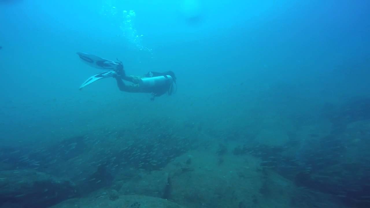 Dive off Covelong (Chennai) with Barefoot Scuba