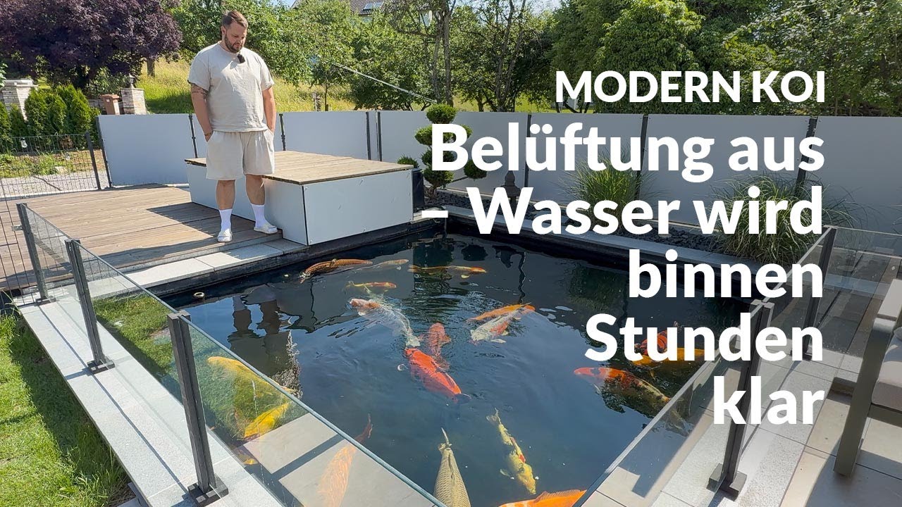 Bennys Teich: Algenflusen verschwinden durch Strömungsstopp | Modern Koi Blog #7827