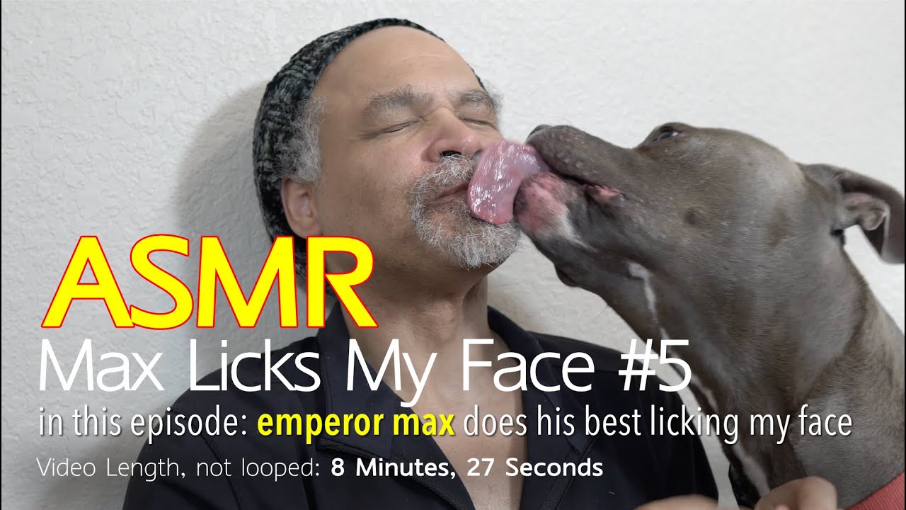 Max Licks | Face Licking #5 | ASMR DOG LICKING