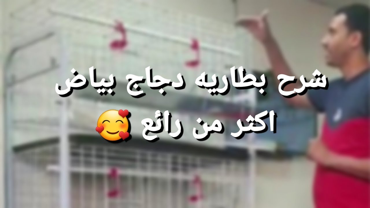 شرح رائع بطاريه دجاج بياض ٣ دور اقتصاديه جداً ❤ | بطاريات دجاج | مصنع رابتكو