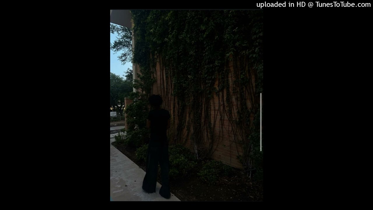 rexv2 aberration che xtsy*  type beat