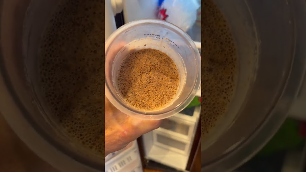 Chocolate Peanut Butter Creami!! 51g of Protein!