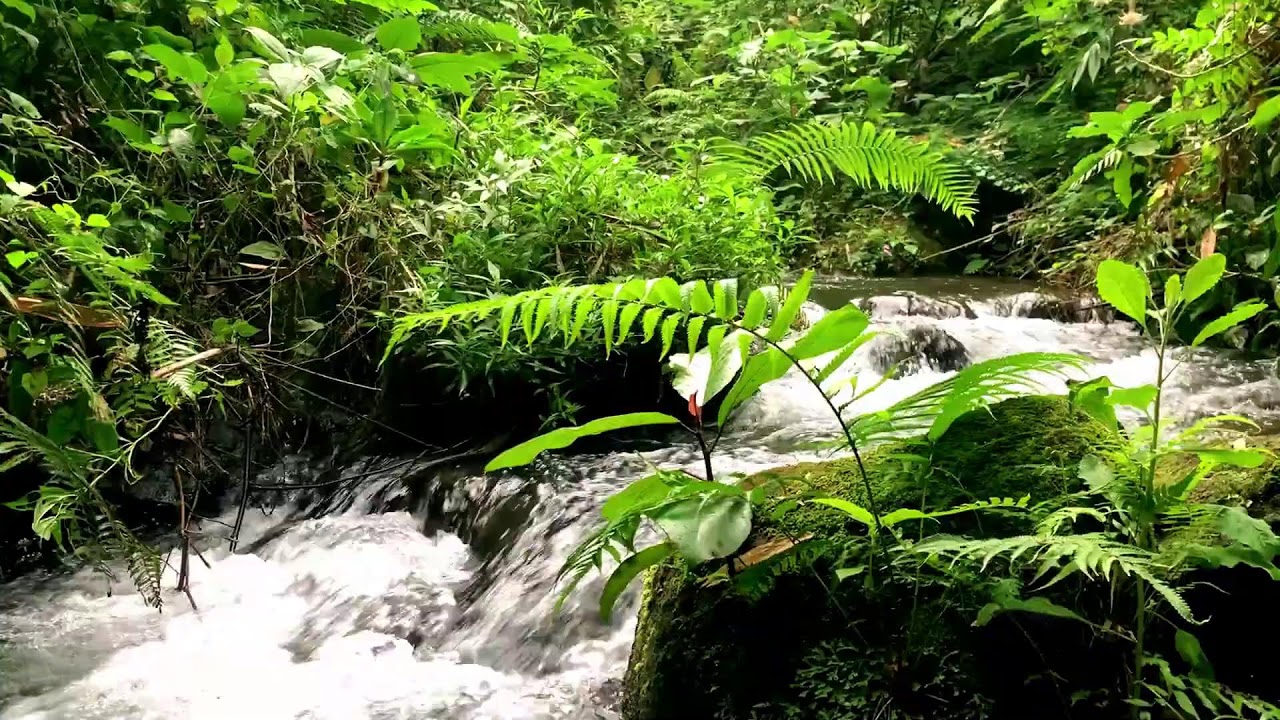 Dreamy River Sound to help Sleeping Soundly & Deep Relaxation